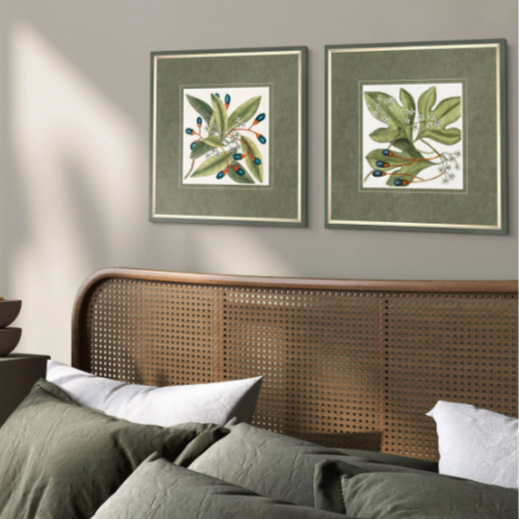 Botanical Beauty Framed Art