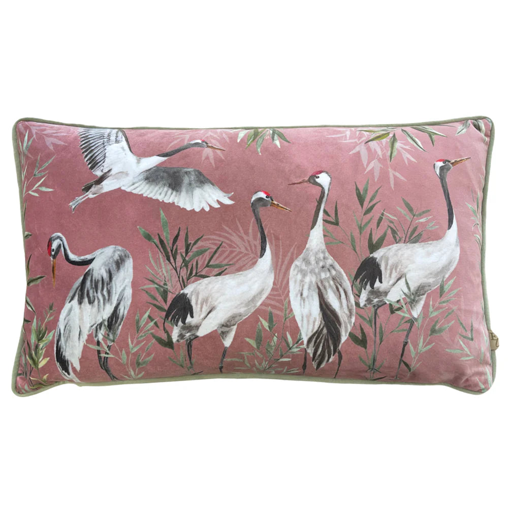 Serene Elegance Cushion Set