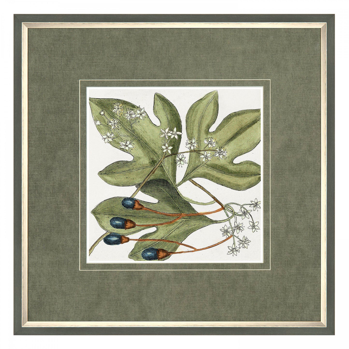Botanical Beauty Framed Art