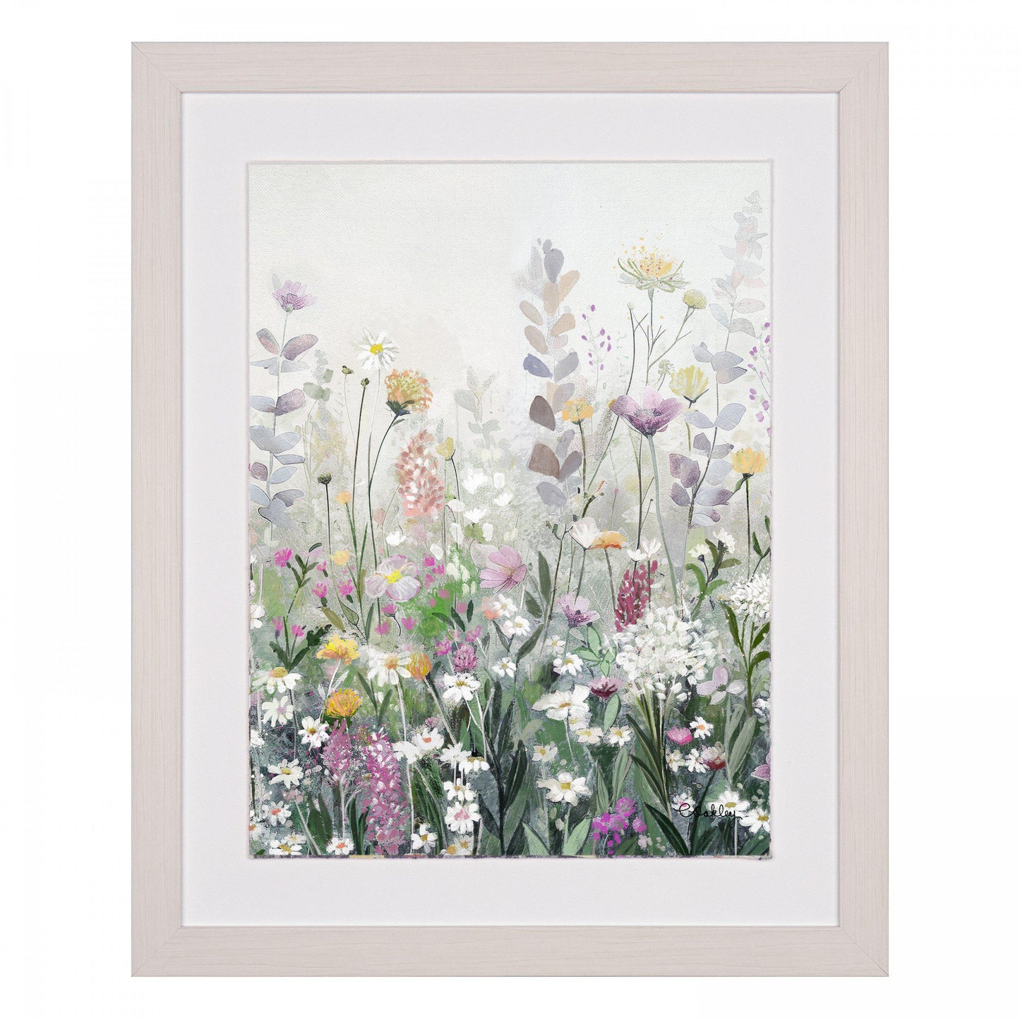 Meadow Dream