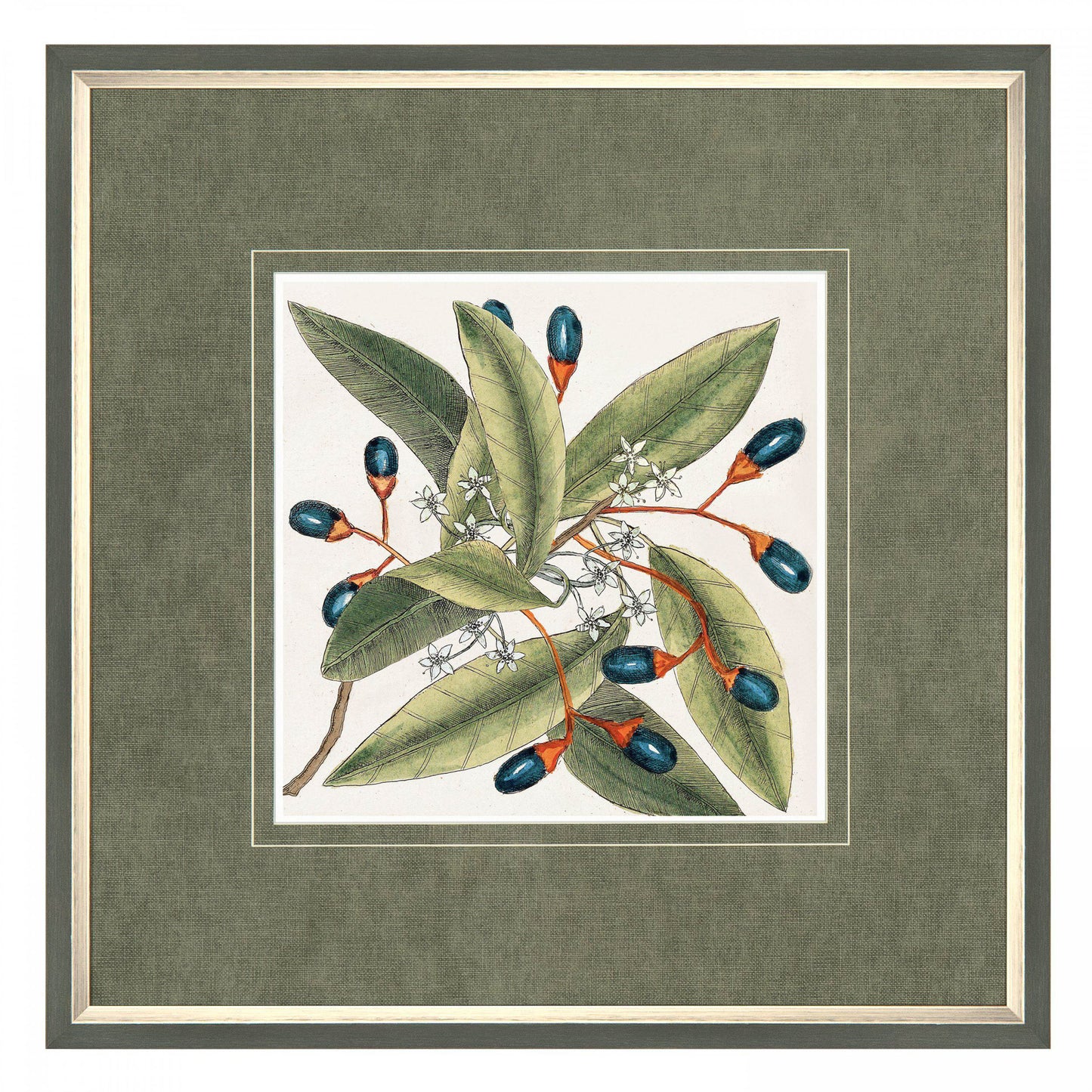 Botanical Style Framed Art