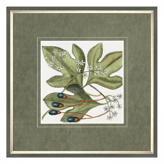 Botanical Beauty Framed Art