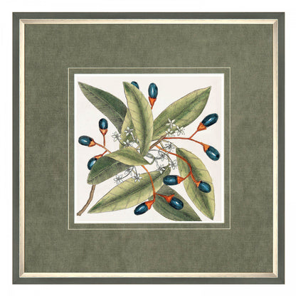 Botanical Style Framed Art