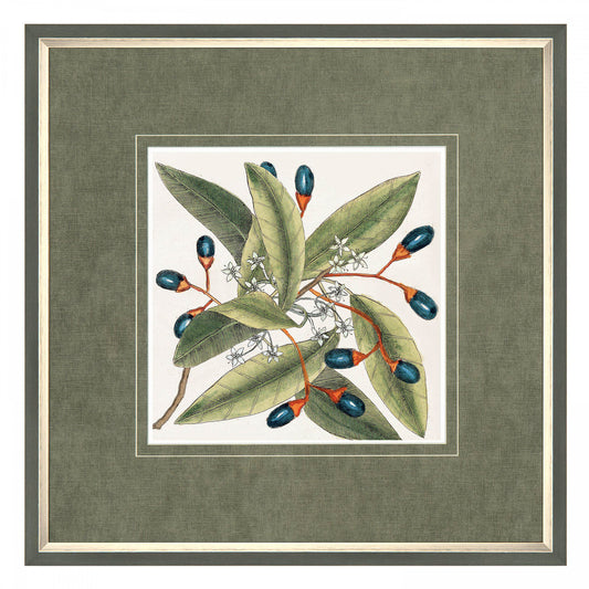 Botanical Style Framed Art